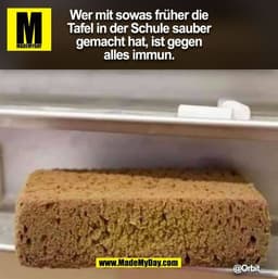 Wer mit sowas früher die
Tafel in der Schule sauber
gemacht hat, ist gegen
alles immun. (BILD)