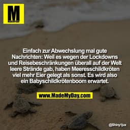Einfach zur Abwechslung mal gute
Nachrichten: Weil es wegen der Lockdowns
und Reisebeschränkungen überall auf der Welt
l