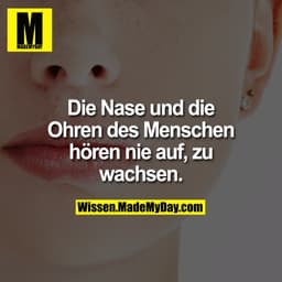 Die Nase und die Ohren des Menschen hören nie auf, zu wachsen.