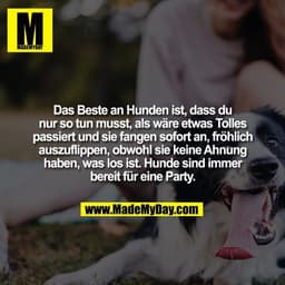 Das Beste an Hunden ist, dass du
nur so tun musst, als wäre etwas Tolles
passiert und sie fangen sofort an, fröhlich
aus