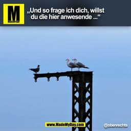 "Und so frage ich Dich, willst Du die hier anwesende..."
@obenrechts (BILD)