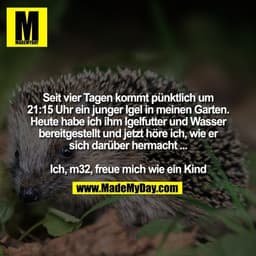 Seit vier Tagen kommt pünktlich um
21:15 Uhr ein junger Igel in meinen Garten.
Heute habe ich ihm Igelfutter und Wasser
