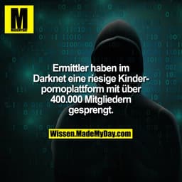 Ermittler haben im Darknet eine riesige Kinderpornoplattform mit über 400.000 Mitgliedern gesprengt.