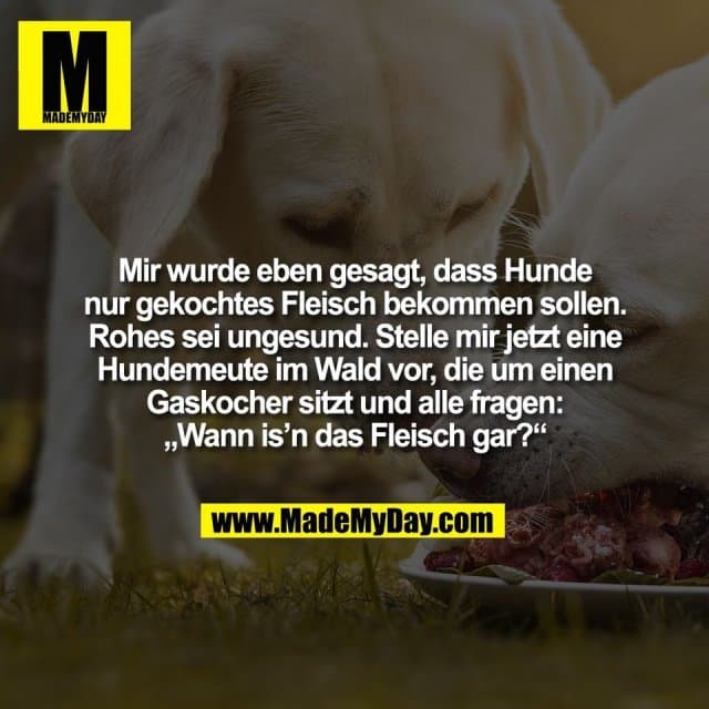 Mir wurde eben gesagt, dass Hunde
nur gekochtes Fleisch bekommen sollen.
Rohes sei ungesund. Stelle mir jetzt eine
Hundemeute im Wald vor, die um einen
Gaskocher sitzt und alle fragen:
„Wann is’n das Fleisch gar?“ - Inspiration, Zitate & Sprüche | MadeMyDay | Jetzt entdecken & teilen Mir wurde eben gesagt, dass Hunde
nur gekochtes Fleisch bekommen sollen.
Rohes sei ungesund. Stelle mir jetzt eine
Hundemeute im Wald vor, die um einen
Gaskocher sitzt und alle fragen:
„Wann is’n das Fleisch gar?“ - Inspirierendes Zitat mit Bild