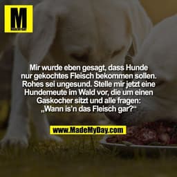Mir wurde eben gesagt, dass Hunde
nur gekochtes Fleisch bekommen sollen.
Rohes sei ungesund. Stelle mir jetzt eine
Hunde