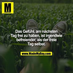Das Gefühl, am nächsten
Tag frei zu haben, ist irgendwie
befreiender, als der freie
Tag selbst.