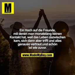 Ein Hoch auf die Freunde,
mit denen man monatelang keinen
Kontakt hat, weil das Leben dazwischen
kam, sich dann aber tri