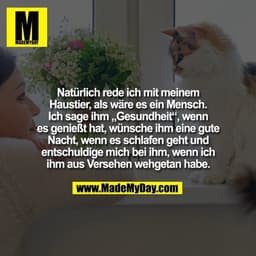Natürlich rede ich mit meinem
Haustier, als wäre es ein Mensch.
Ich sage ihm „Gesundheit“, wenn
es genießt hat, wünsche 