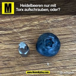 Heidelbeeren nur mit Torx aufschrauben, oder?
@LastSignals
(BILD)