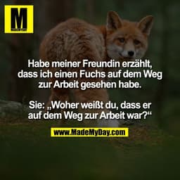 Habe meiner Freundin erzählt,
dass ich einen Fuchs auf dem Weg
zur Arbeit gesehen habe.
Sie: „Woher weißt du, dass er
au