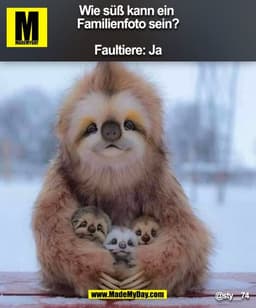 Wie süß kann ein Familienfoto sein? 
Faultiere: Ja
@sty__74
(BILD)
