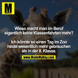Wieso macht man im Beruf
eigentlich keine Klassenfahrten mehr?
Ich könnte so einen Tag im Zoo
heute wesentlich mehr gebr