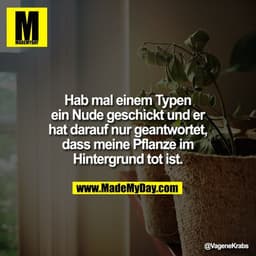 Hab mal einem Typen
ein Nude geschickt und er
hat darauf nur geantwortet,
dass meine Pflanze im
Hintergrund tot ist.
@Va