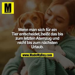 Wenn man sich für ein
Tier entscheidet, heißt das bis
zum letzten Atemzug und
nicht bis zum nächsten
Urlaub.