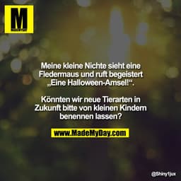 Meine kleine Nichte sieht eine
Fledermaus und ruft begeistert
„Eine Halloween-Amsel!“.

Könnten wir neue Tierarten in
Zu