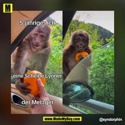 @syndorphin (BILD)