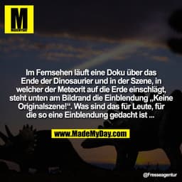 Im Fernsehen läuft eine Doku über das
Ende der Dinosaurier und in der Szene, in
welcher der Meteorit auf die Erde einsch
