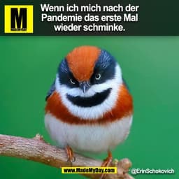 Wenn ich mich nach der
Pandemie das erste Mal
wieder schminke.
@ErinSchokovich
(BILD)