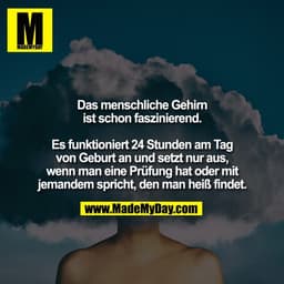 Das menschliche Gehirn
ist schon faszinierend.

Es funktioniert 24 Stunden am Tag
von Geburt an und setzt nur aus,
wenn 