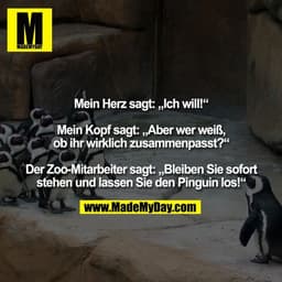 Mein Herz sagt: „Ich will!“

Mein Kopf sagt: „Aber wer weiß,
ob ihr wirklich zusammenpasst?“

Der Zoo-Mitarbeiter sagt: 
