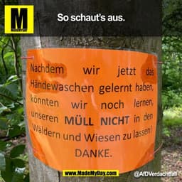 So schaut's auus. 