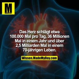 Das Herz schlägt etwa 100.000 Mal pro Tag, 36 Millionen Mal in einem Jahr und über 2,5 Milliarden Mal in einem 70-jährig