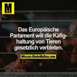 Das Europäische Parlament will die Käfighaltung von Tieren gesetzlich verbieten.