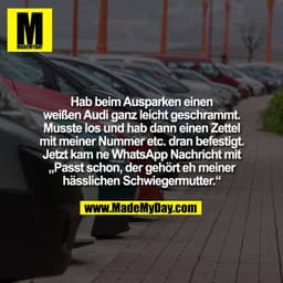 Hab beim Ausparken einen
weißen Audi ganz leicht geschrammt.
Musste los und hab dann einen Zettel
mit meiner Nummer etc.