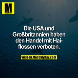Die USA und Großbritannien haben den Handel mit Haiflossen verboten.
