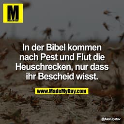 In der Bibel kommen
nach Pest und Flut die
Heuschrecken, nur dass
ihr Bescheid wisst.