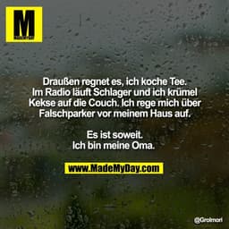 Draußen regnet es, ich koche Tee.
Im Radio läuft Schlager und ich krümel
Kekse auf die Couch. Ich rege mich über
Falschp