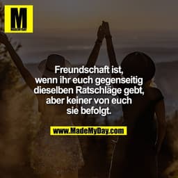 Freundschaft ist,
wenn ihr euch gegenseitig
dieselben Ratschläge gebt,
aber keiner von euch
sie befolgt.