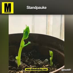 Standpauke
@nocki61
(BILD)