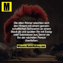 Die alten Römer wischten sich den Hintern mit einem gemeinschaftlichen Schwamm an einem Stock ab und spülten ihn mit Ess