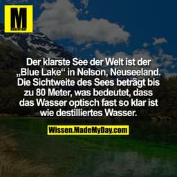 Der klarste See der Welt ist der „Blue Lake“ in Nelson, Neuseeland. Die Sichtweite des Sees beträgt bis zu 80 Meter, was