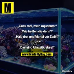 „Guck mal, mein Aquarium.“

„Wie heißen die denn?“

„Halb drei und Viertel vor Zwölf.“

„???“

„Das sind Uhrzeitkrebse!“
