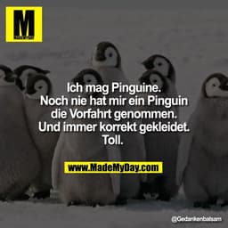 Ich mag Pinguine.
Noch nie hat mir ein Pinguin
die Vorfahrt genommen.
Und immer korrekt gekleidet.
Toll.