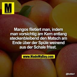 Mangos filetiert man, indem
man vorsichtig am Kern entlang
steckenbleibend den Matsch am
Ende über der Spüle weinend
aus