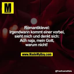 Romantiklevel:
Irgendwann kommt einer vorbei,
sieht mich und denkt sich:
Ach naja, mein Gott,
warum nicht!