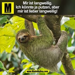 Mir ist langweilig.
Ich könnte ja putzen, aber
mir ist lieber langweilig!
(BILD)