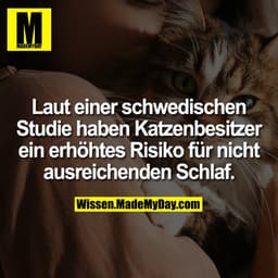 Laut einer schwedischen Studie haben Katzenbesitzer ein erhöhtes Risiko für nicht ausreichenden Schlaf.