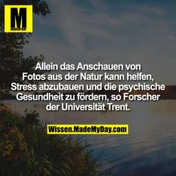 Allein das Anschauen von Fotos aus der Natur kann helfen, Stress abzubauen und die psychische Gesundheit zu fördern, so 