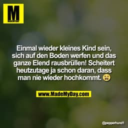 Einmal wieder kleines Kind sein,
sich auf den Boden werfen und das
ganze Elend rausbrüllen! Scheitert
heutzutage ja scho