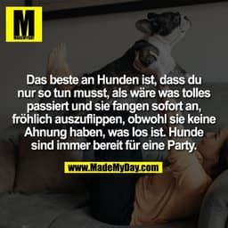Das beste an Hunden ist, dass du
nur so tun musst, als wäre was tolles
passiert und sie fangen sofort an,
fröhlich auszu