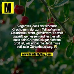 Kläger will, dass der störende
Kirschbaum, der zum Teil auf seinem
Grundstück steht, gefällt wird. Es wird
geprüft, geme