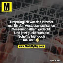 Ursprünglich war das Internet
mal für den Austausch zwischen
Wissenschaftlern gedacht.
Und jetzt guckt euch die
Sche*ße 