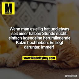 Wenn man es eilig hat und etwas
seit einer halben Stunde sucht:
einfach irgendeine herumliegende
Katze hochheben. Es lie