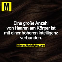 Eine große Anzahl von Haaren am Körper ist mit einer höheren Intelligenz verbunden.