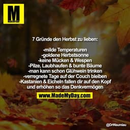 7 Gründe den Herbst zu lieben:

-milde Temperaturen
-goldene Herbstsonne
-keine Mücken & Wespen
-Pilze, Laubhaufen & bun