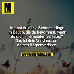 Kennst du diese Schmetterlinge
im Bauch, die du bekommst, wenn
du dich in jemanden verliebst?
Das ist dein Verstand, der